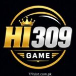 HI309 Game