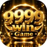 9999 WIN Game Download APK