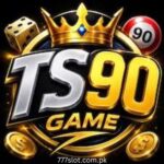 TS90 Game