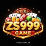 ZS999 Game Download