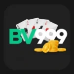 BV999 game logo image